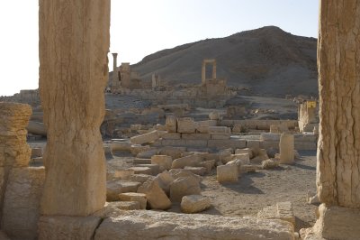 Palmyra apr 2009 0067.jpg