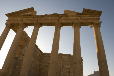 Palmyra apr 2009 0070.jpg