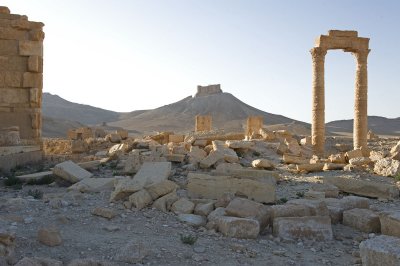 Palmyra apr 2009 0072.jpg