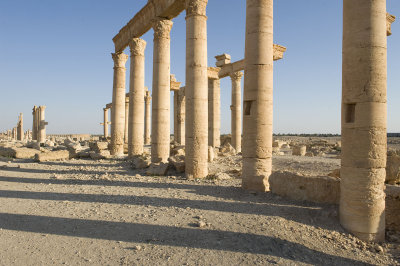 Palmyra apr 2009 0077.jpg