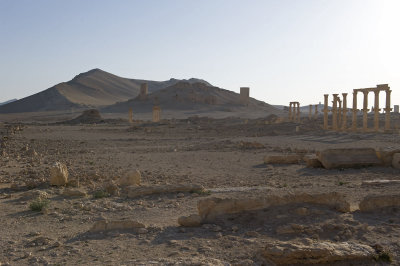 Palmyra apr 2009 0078.jpg
