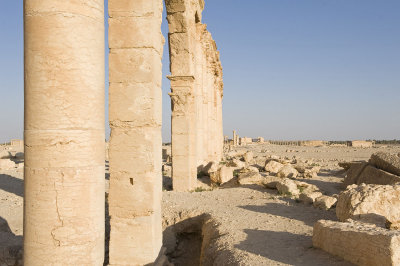 Palmyra apr 2009 0079.jpg
