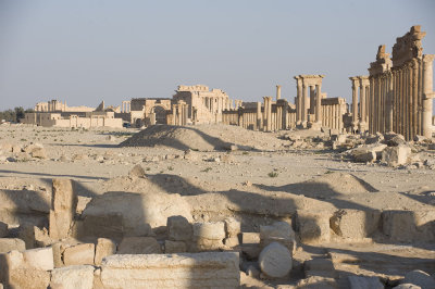 Palmyra apr 2009 0082.jpg