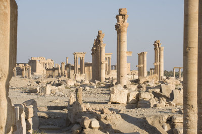 Palmyra apr 2009 0083.jpg