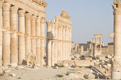 Palmyra apr 2009 0084b.jpg