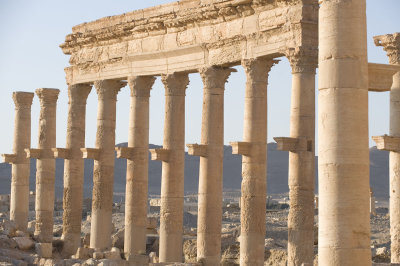 Palmyra apr 2009 0085.jpg