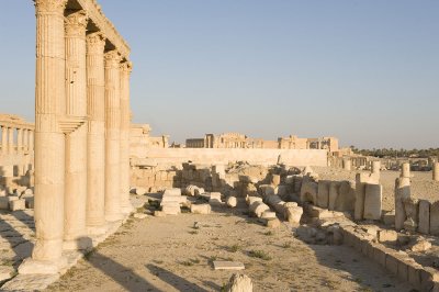Palmyra apr 2009 0100.jpg