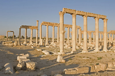 Palmyra apr 2009 0101.jpg