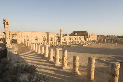 Palmyra apr 2009 0104.jpg