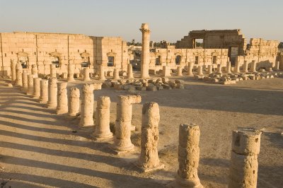 Palmyra apr 2009 0105.jpg