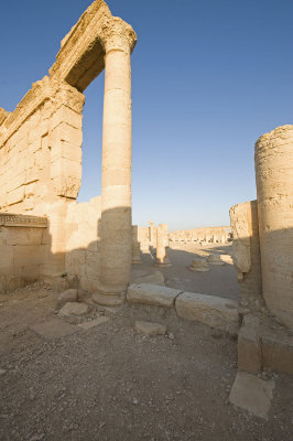 Palmyra apr 2009 0112.jpg