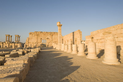 Agora