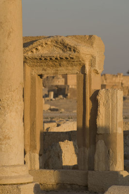 Palmyra apr 2009 0121.jpg
