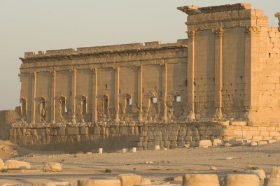Palmyra apr 2009 0133.jpg