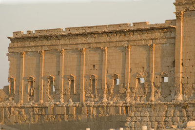 Palmyra apr 2009 0134.jpg