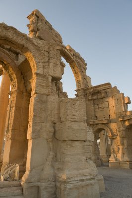Palmyra apr 2009 0138.jpg