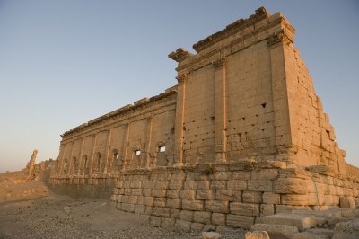 Palmyra apr 2009 0141.jpg