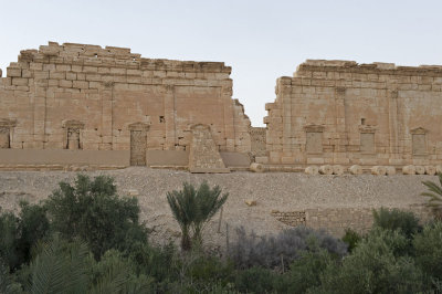 Palmyra apr 2009 0148.jpg