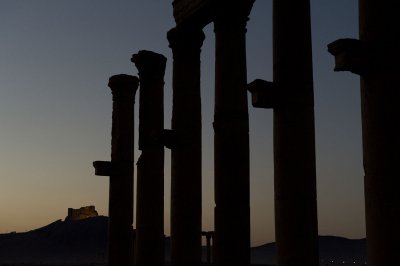 Palmyra apr 2009 0152.jpg