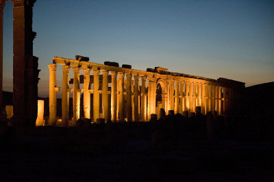 Palmyra apr 2009 0164.jpg