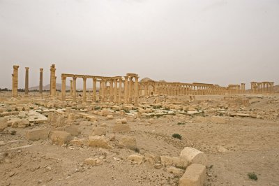 Palmyra apr 2009 0174.jpg