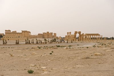 Palmyra apr 2009 0177.jpg