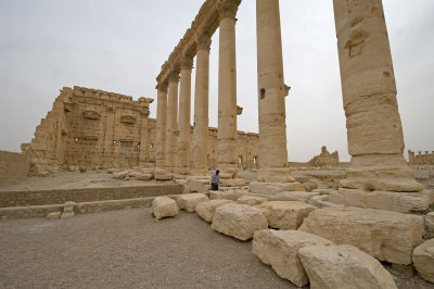 Palmyra apr 2009 0193.jpg