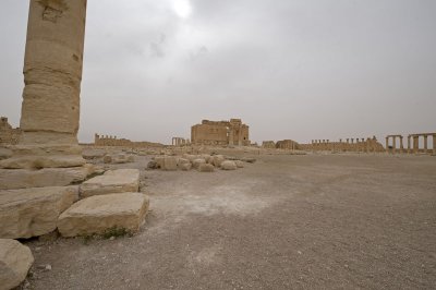 Palmyra apr 2009 0194.jpg