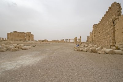 Palmyra apr 2009 0195.jpg