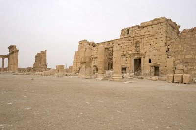 Palmyra apr 2009 0196.jpg