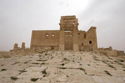 Palmyra apr 2009 0203.jpg