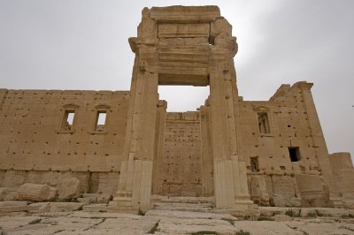 Palmyra apr 2009 0205.jpg