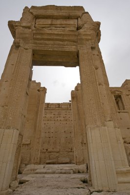 Palmyra apr 2009 0206.jpg