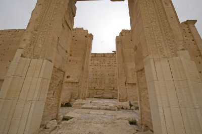 Palmyra apr 2009 0207.jpg