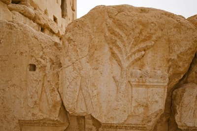 Palmyra apr 2009 0211.jpg