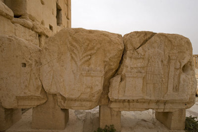 Palmyra apr 2009 0212.jpg