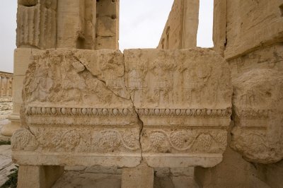 Palmyra apr 2009 0215.jpg