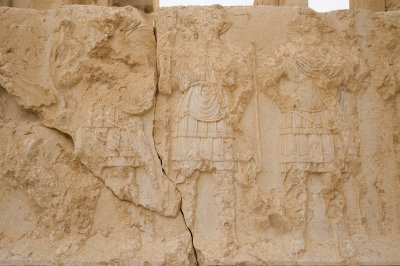 Palmyra apr 2009 0217.jpg