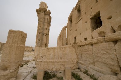 Palmyra apr 2009 0225.jpg