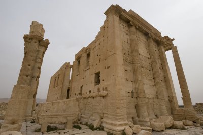 Palmyra apr 2009 0227.jpg