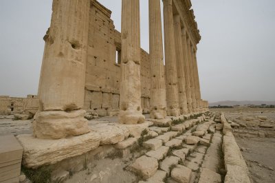 Palmyra apr 2009 0235.jpg