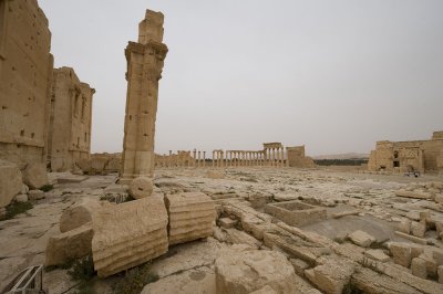 Palmyra apr 2009 0242.jpg