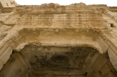 Palmyra apr 2009 0248.jpg
