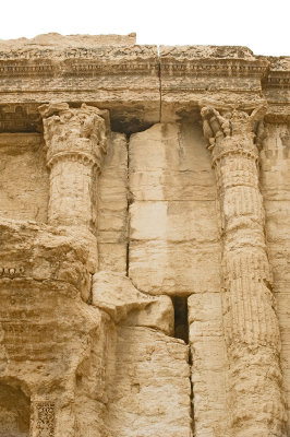 Palmyra apr 2009 0253.jpg