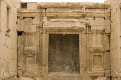 Palmyra apr 2009 0256.jpg