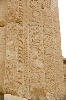 Palmyra apr 2009 0257.jpg