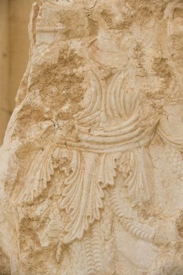 Palmyra apr 2009 0267.jpg