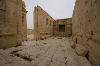Palmyra apr 2009 0274.jpg