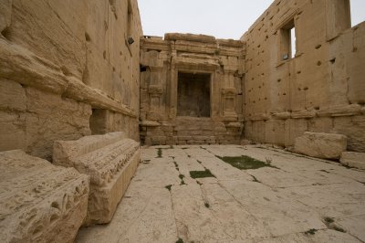 Palmyra apr 2009 0275.jpg