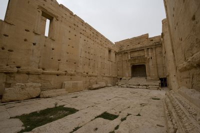 Palmyra apr 2009 0276.jpg